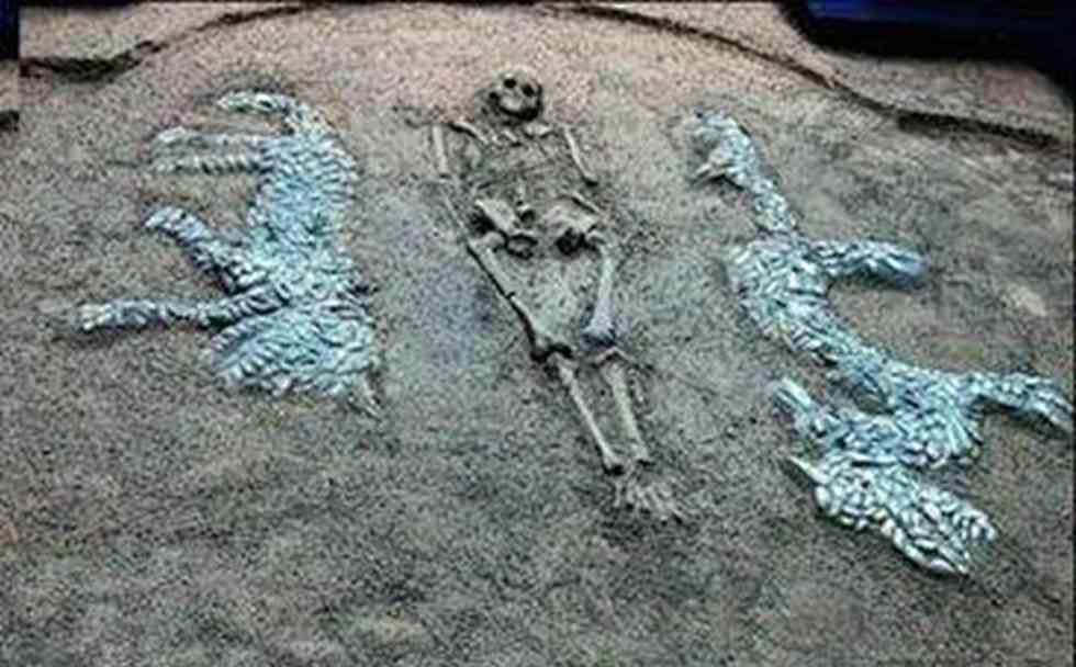 班师振旅，生肖之谜与合作作答的智慧