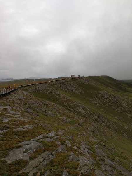 九曲十八转二五之间，揭秘生肖之谜