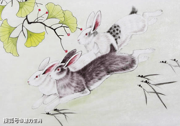 全面揭晓，万无一失的生肖谜题—最佳答案竟是它！