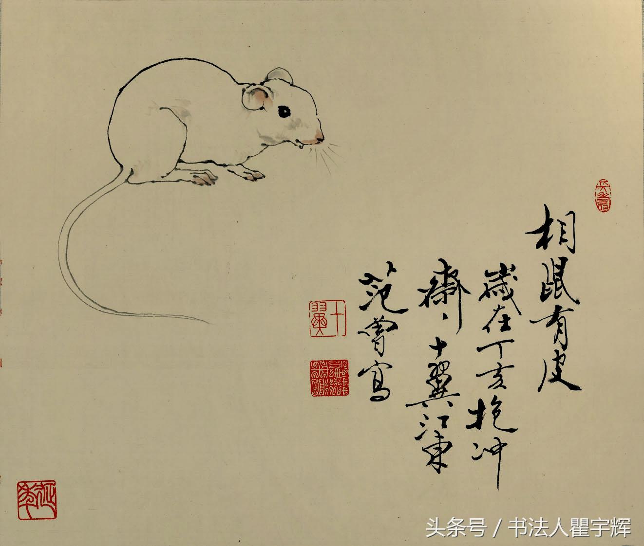 神来之笔是什么生肖、理想解释落实