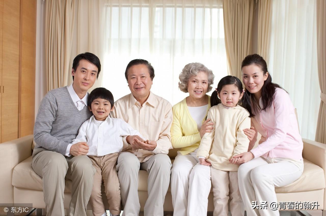 树大招风，揭秘生肖背后的智慧