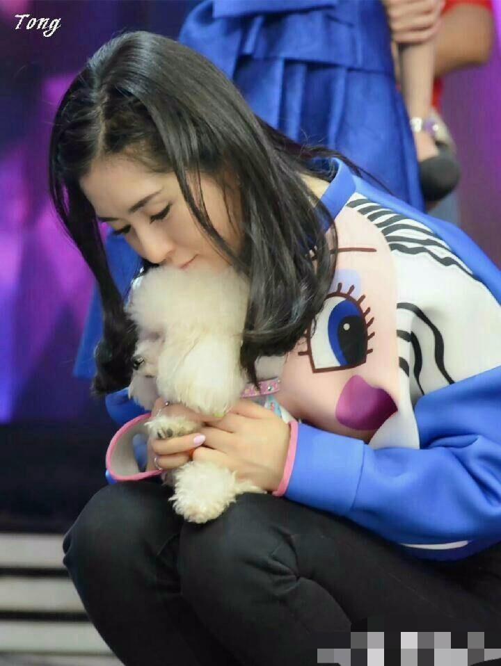 忙忙碌碌是什么生肖:词语解析解答落实