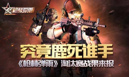 枪林弹雨中的生肖智慧，全面解释与落实