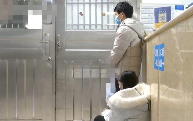 身份不明打一准确动物、正面解释落实