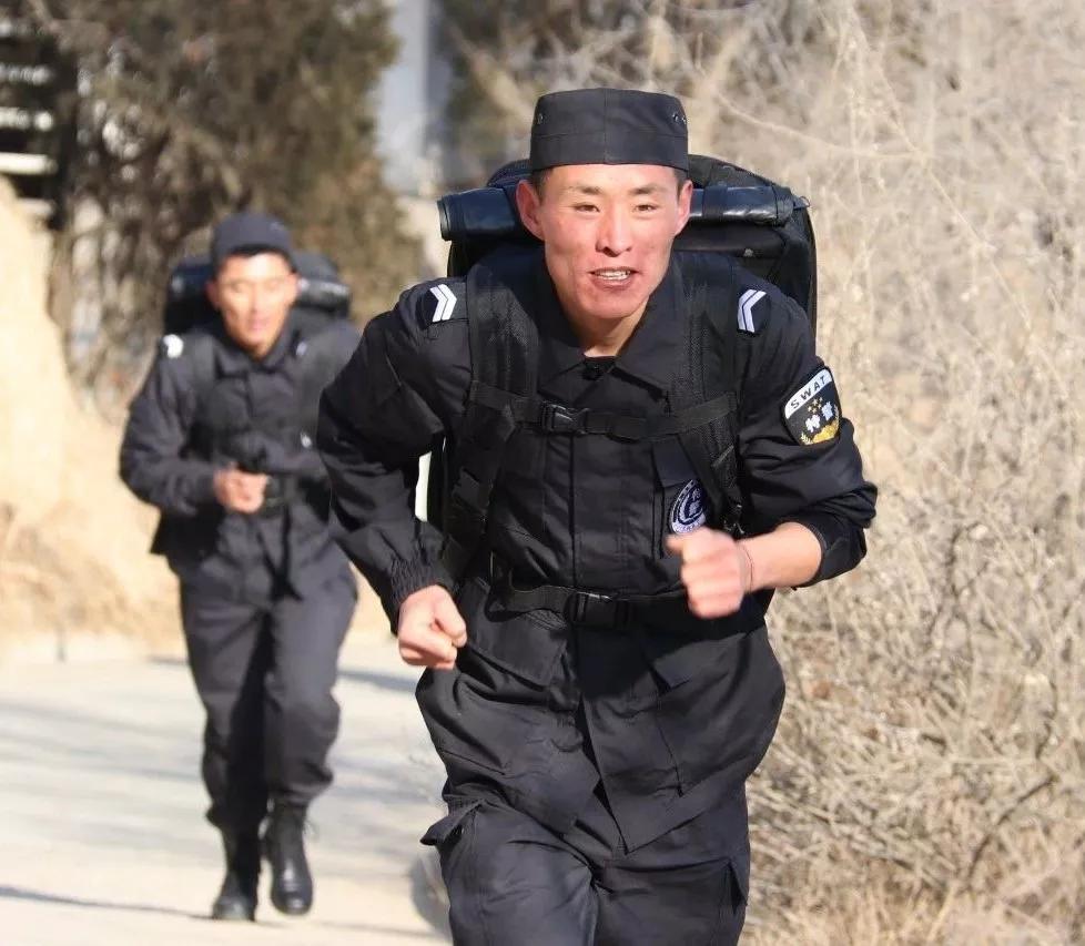 千锤百炼，打造经典动物形象的智慧与坚持