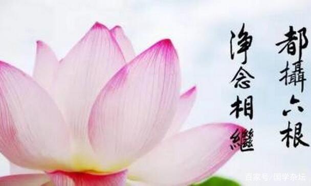 六根未净，探寻生肖背后的文化寓意