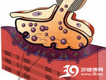 软弱无力是什么生肖、解析作答落实解释