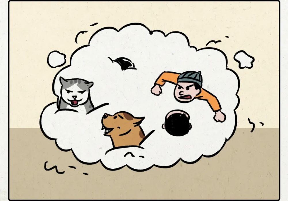 鸡飞狗跳，揭秘生肖背后的智慧与人生启示