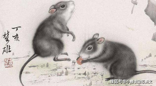 自相惊扰打一最佳生肖、误导解释落实