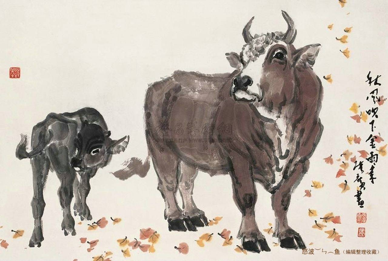 勤俭持家，揭秘生肖中的典范—牛的实证与智慧