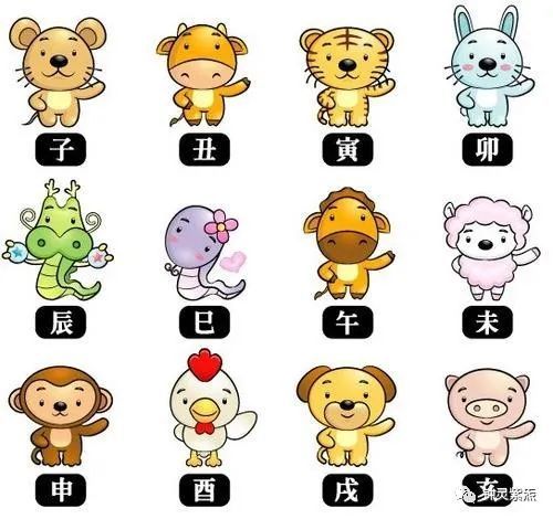 眉飞色舞打一准确生肖、关注解释落实