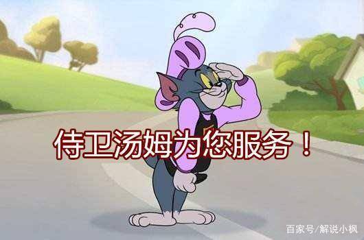 角落里的谜团，揭秘躲在角落不见人所指的生肖