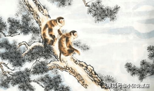 志在千里是什么生肖:经典解释作答落实