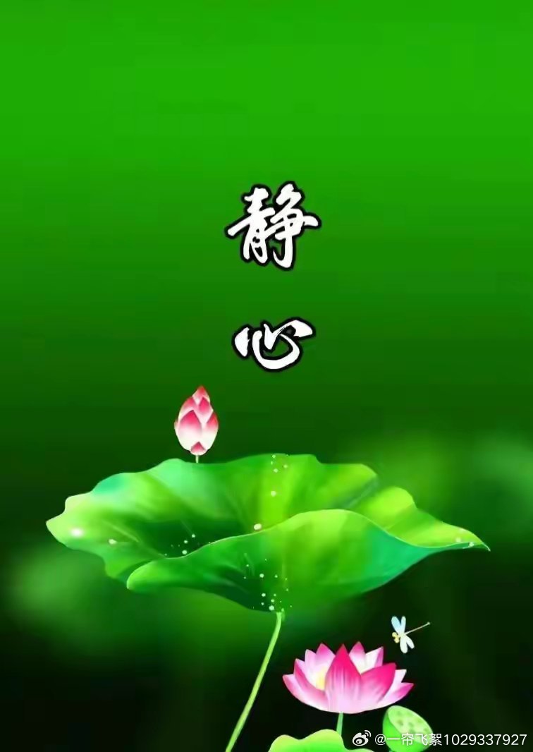 心平气和的生肖哲学，探寻属兔者的独特魅力