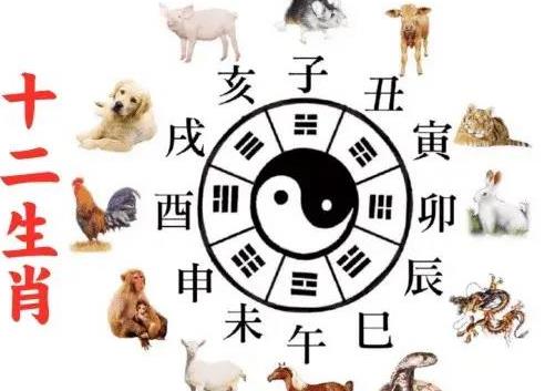 揭秘呼风唤雨佳中宫所指的生肖，权威解读与落实