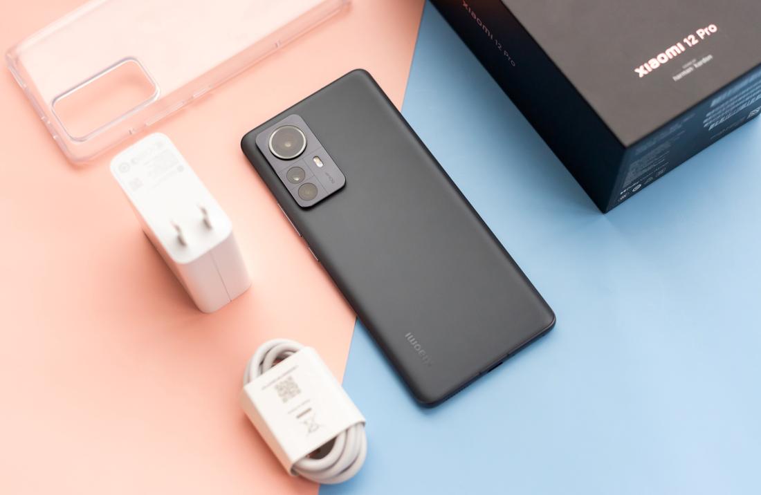 挺身而出，生肖中的勇敢者—揭秘马的独特寓意