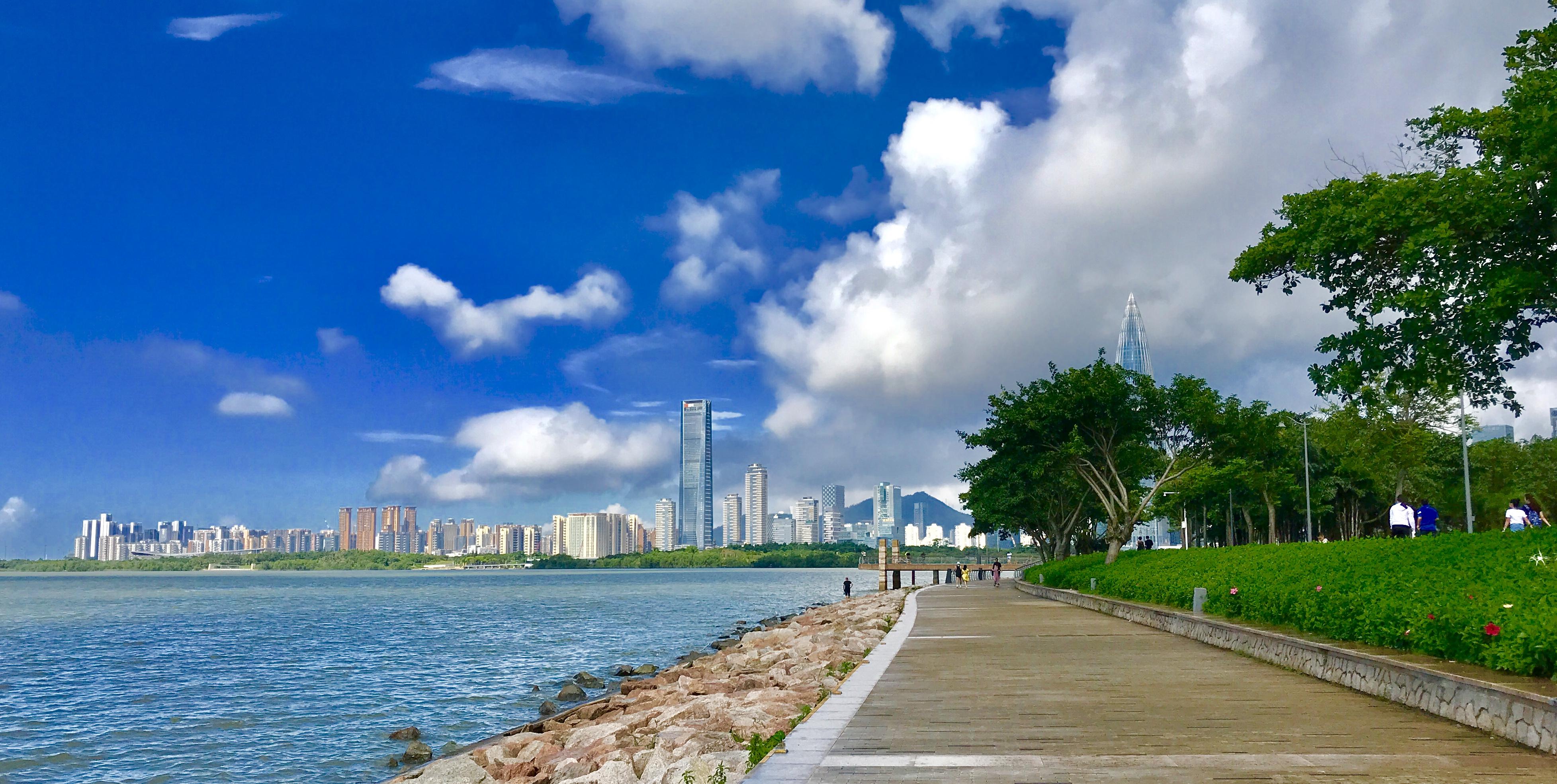 晴空万里，生肖背后的文化寓意与最新解释落实