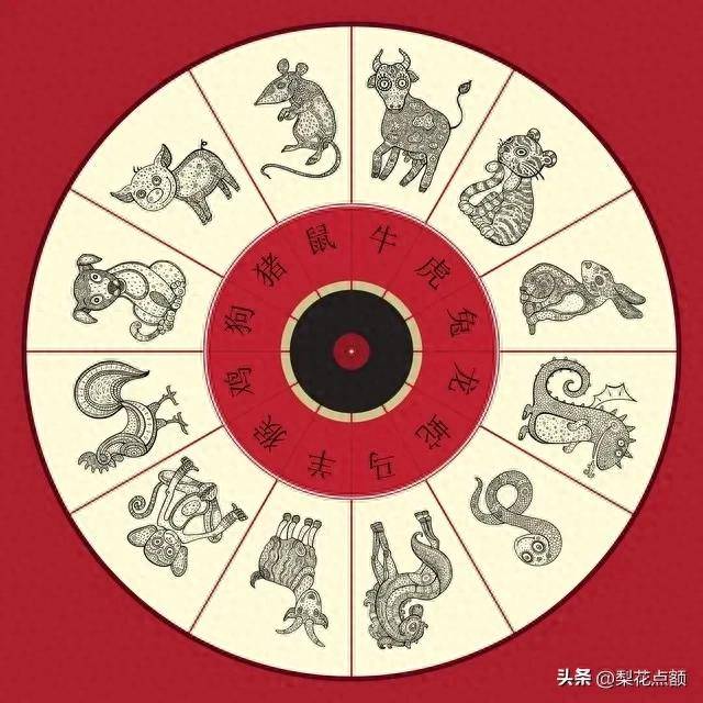 朝九晚五与生肖的奥秘，成就与解释的落实