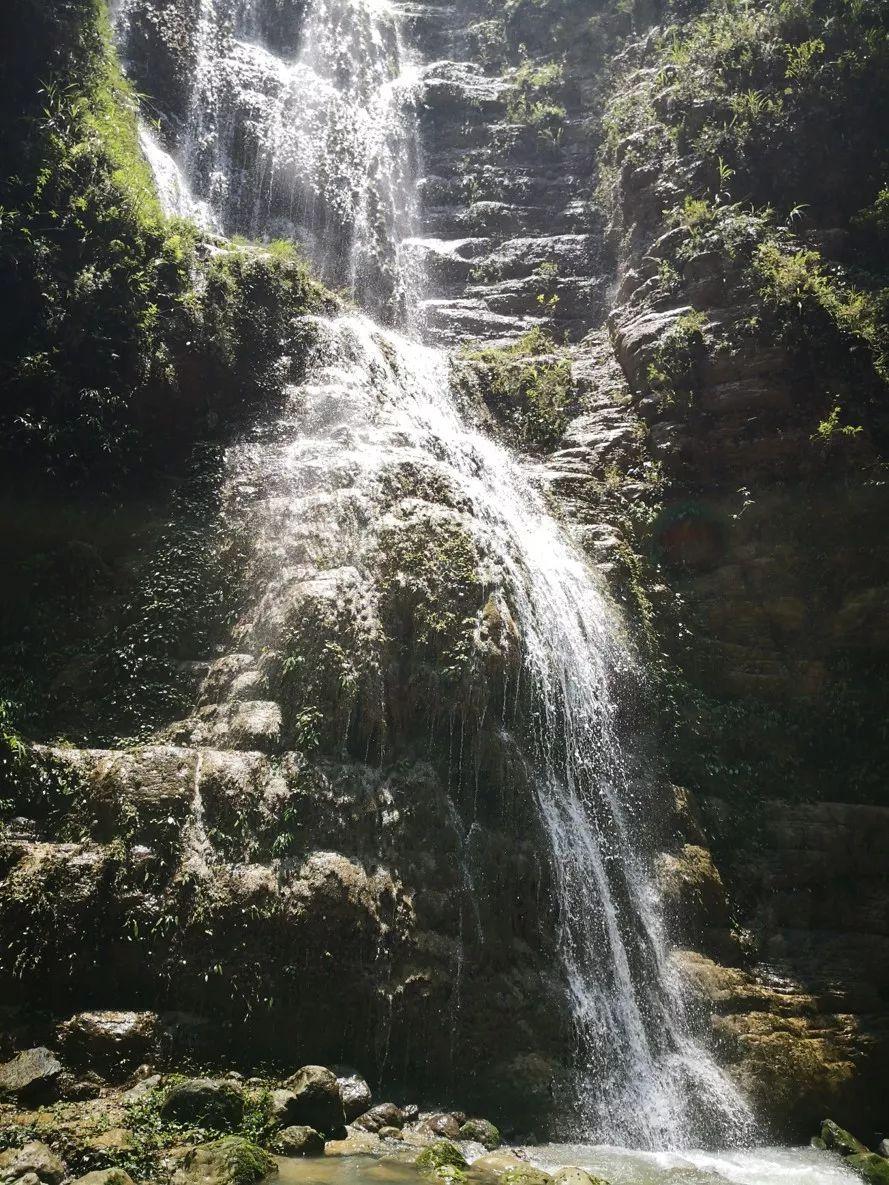 百川入海十来米，揭秘生肖之谜