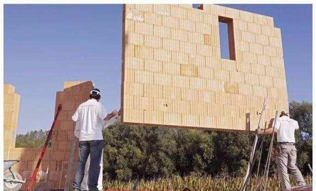 一砖一木筑高台，生肖之谜的全面解析