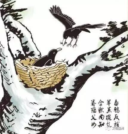 反哺之私，生肖文化中的孝道与个人成长