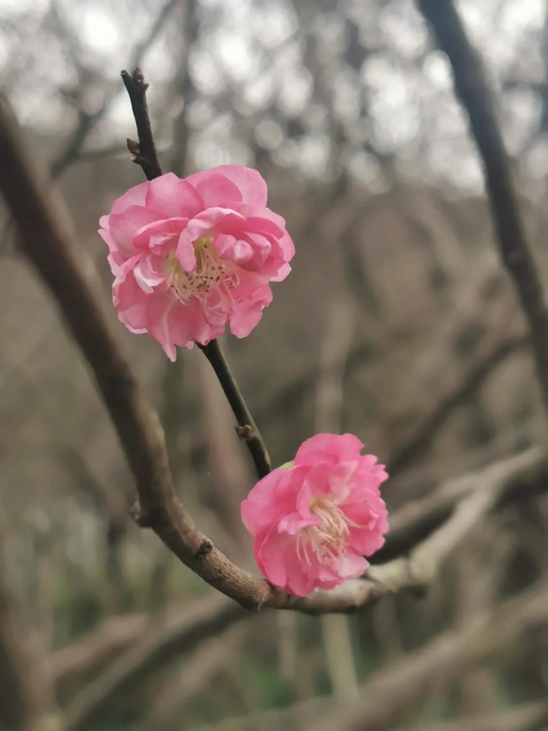 新一股冷空气又将影响我国、解析解释落实