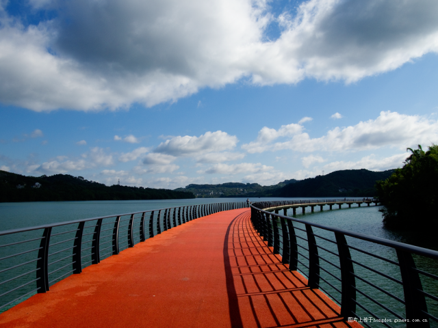 美景佳人夕阳红，生肖之谜的浪漫解读