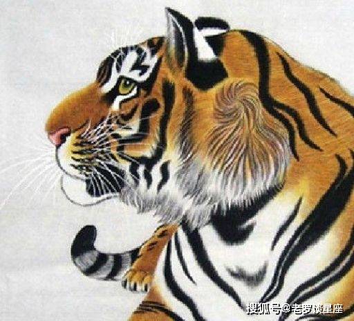 丢眉丢眼是什么生肖、通常解释落实