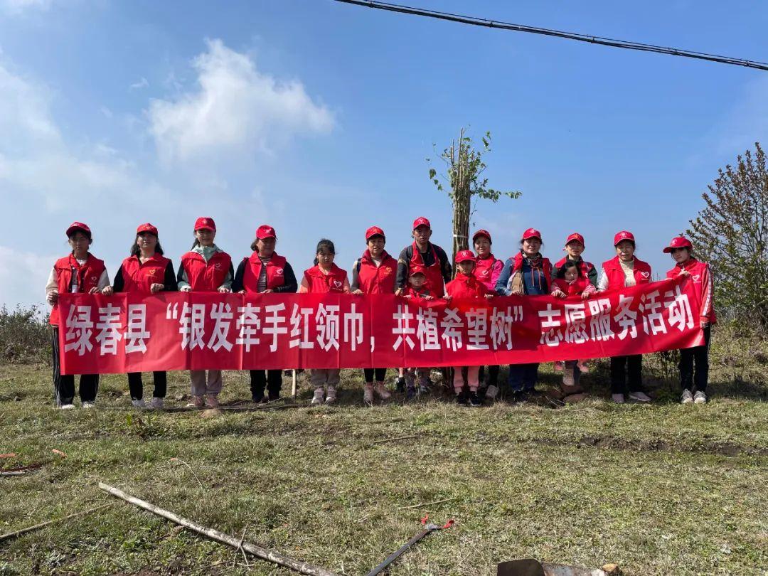 一尘不染的生肖谜题,解密最佳组合与落实的智慧 一尘不染的生肖谜题,解密最佳组合与落实的智慧