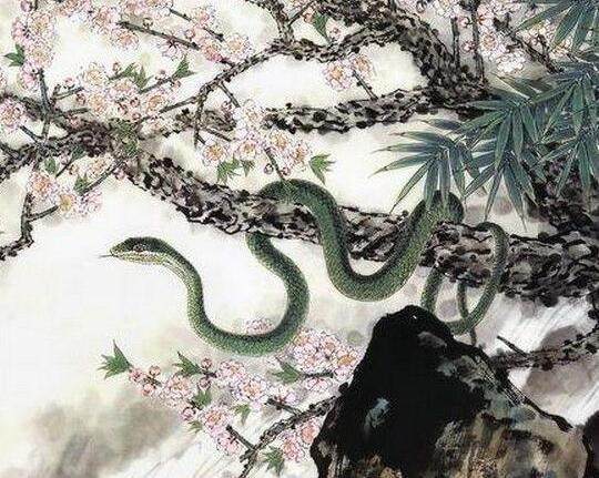 草木逢春是指什么生肖、相信作答落实解释 草木逢春是指什么生肖、相信作答落实解释