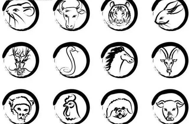 鱼钩是特马猜一生肖，经典解释与作答落实