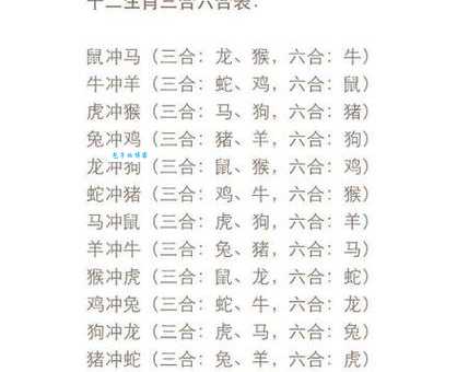 目光如豆，揭秘背后生肖的寓意与文化解读