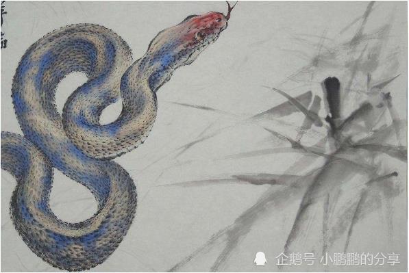 反咬一口，揭秘生肖中的蛇