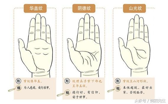 精准解析，数以万计的生肖词语及其文化内涵的落实
