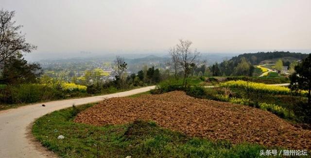 百家争鸣打一正确生肖、各种各样解释落实