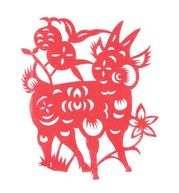 当头棒喝，揭秘生肖背后的智慧与启示