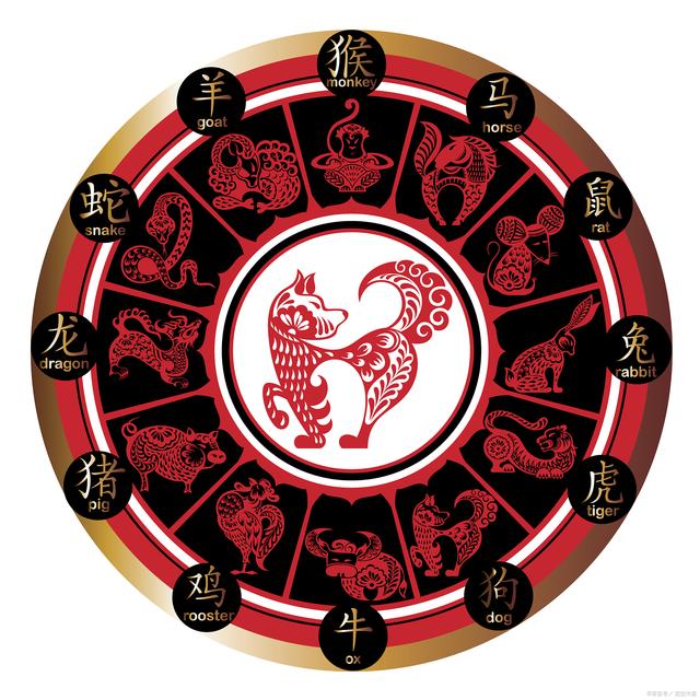 着手回春打一准确生肖:第一解答落实