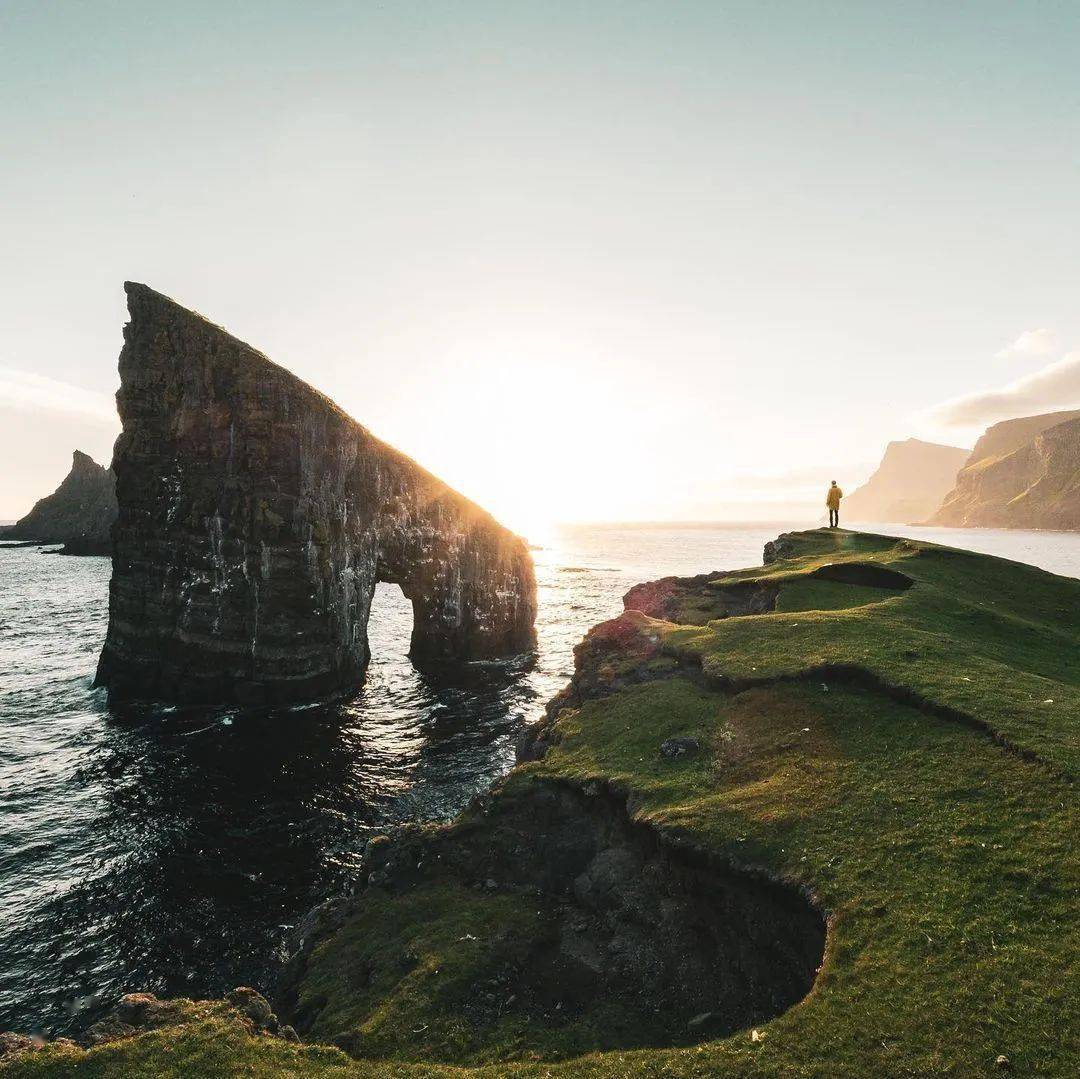 花开回春又一年打一准确生肖、精彩作答落实解释