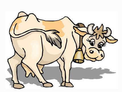 当头棒喝打一最佳生肖动物、非凡作答落实解释