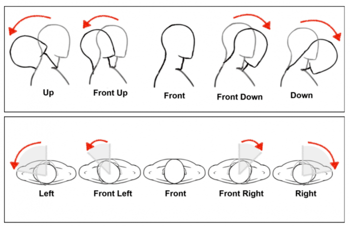 蒙头转向打一准确生肖、合作解释落实
