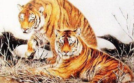 顶天立地打一生肖:最快解答落实 顶天立地打一生肖:最快解答落实