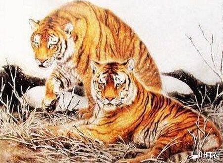 前程万里打一正确生肖:详细解释落实