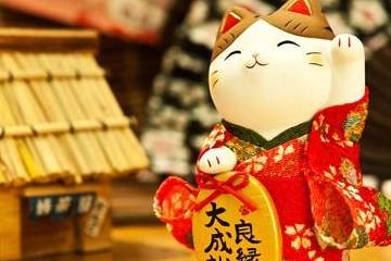 雨打灯笼是什么生肖、能人解释落实