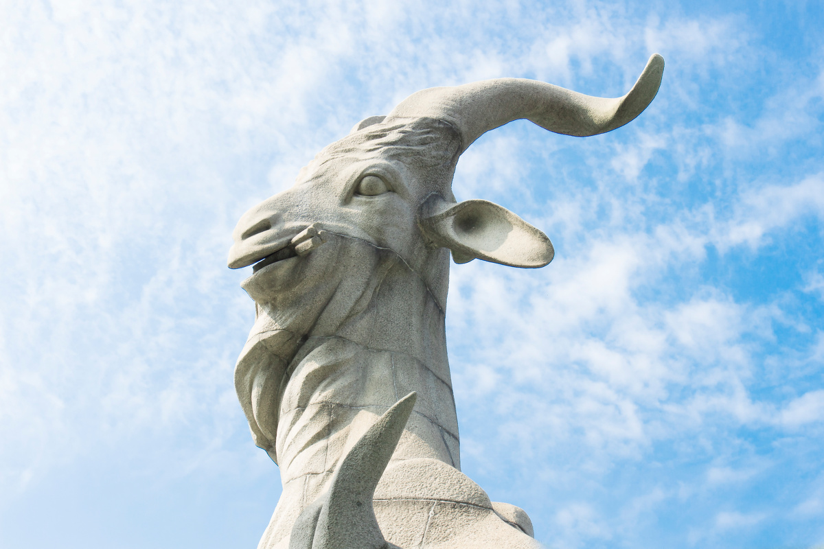 名列前茅，揭秘生肖中的领头羊