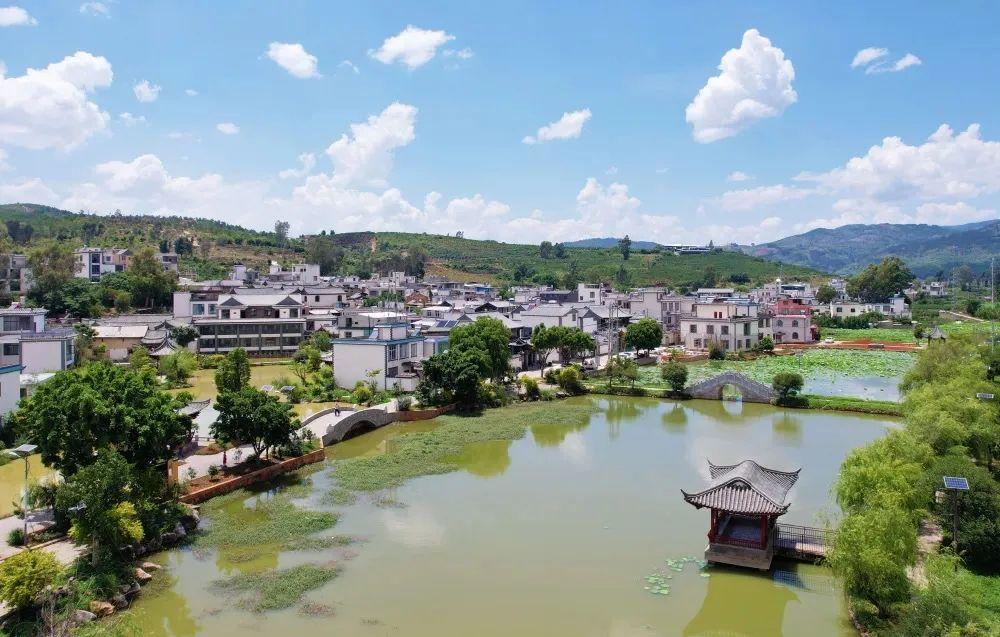 邑犬群吠打一正确生肖:答案全面解释落实