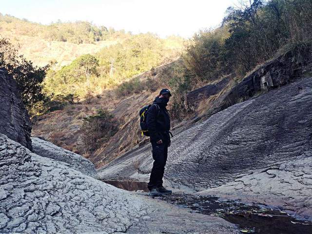 如履平地，揭秘最佳生肖的智慧与策略