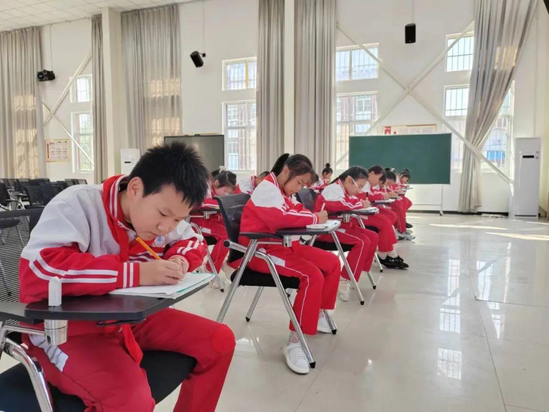 雁过留声与生肖之谜，乐观作答的智慧解读