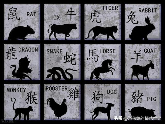 揭秘二八追求五迟疑背后的生肖奥秘与人生智慧