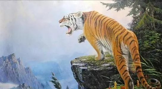 探秘各霸一方与生肖的奇妙联系,以虎为例的深度探讨 探秘各霸一方与生肖的奇妙联系,以虎为例的深度探讨