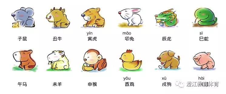 纸上谈兵打一最佳生肖、无限解释落实